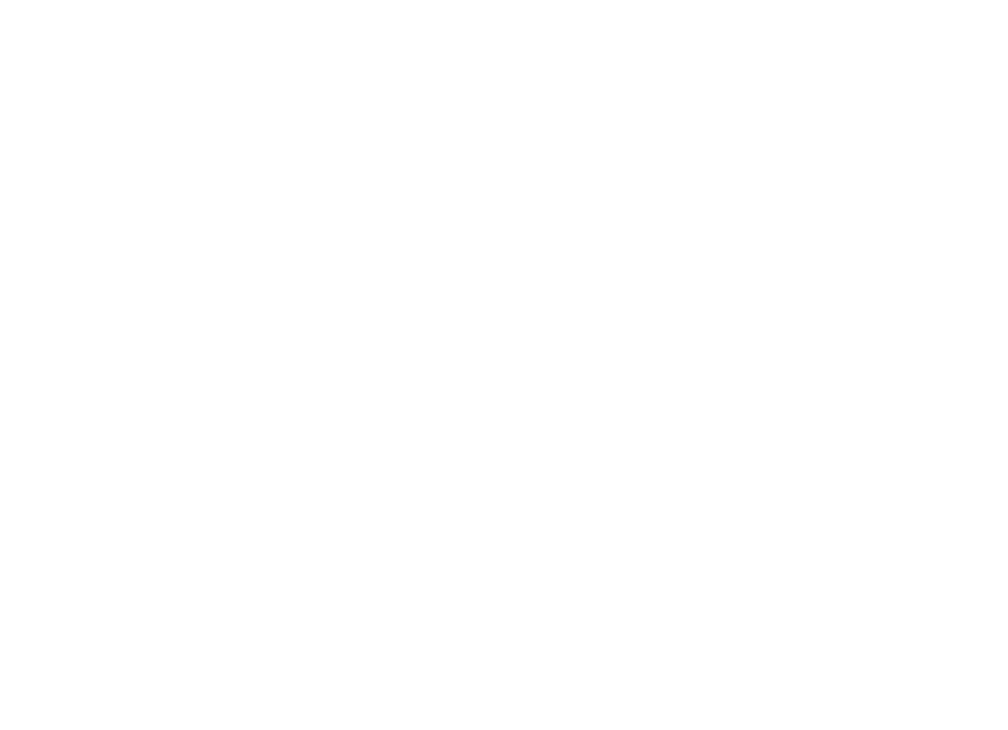 Raptor Skateboards Main Logo